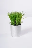 10" GRASS WITH SILVER POT