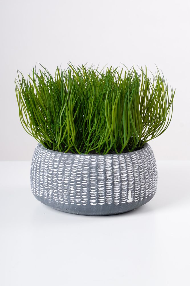 7" FINE GRASS IN POT