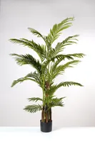 60" Areca Palm Tree x 21 lvs