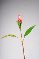 Tropical Flower