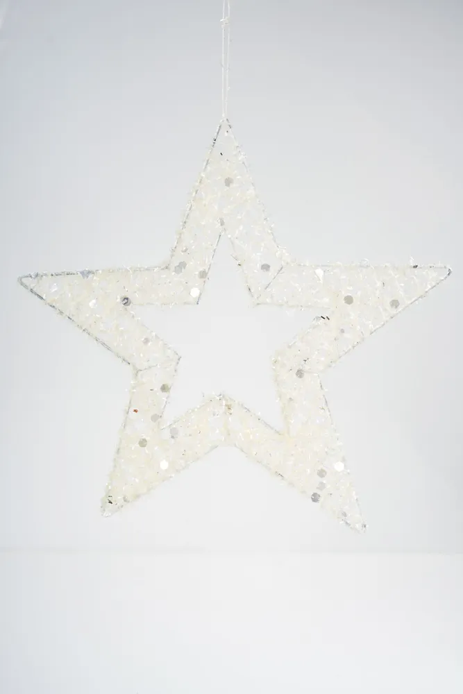 8" White Star