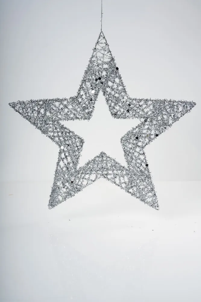 8" Silver Star