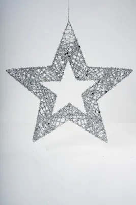 8" Silver Star