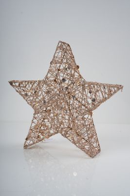 12" Champagne Star