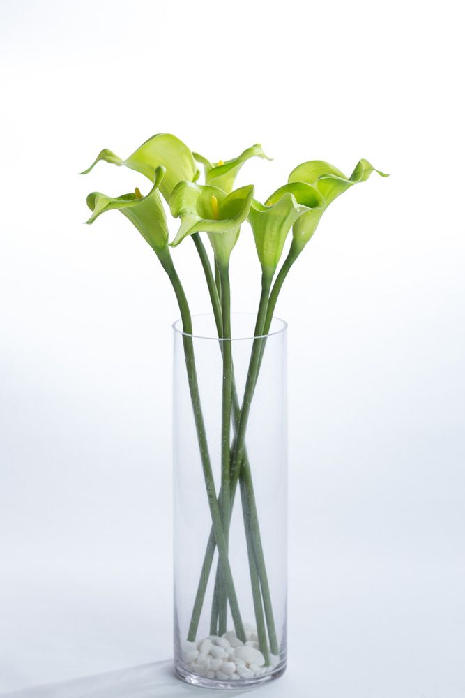 Coco's Plantation 24" Calla Lily Stem - Green