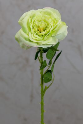 18" Garden Rose Stem Green