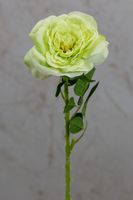 18" Garden Rose Stem Green