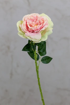 18" Garden Rose Stem Pink/Green