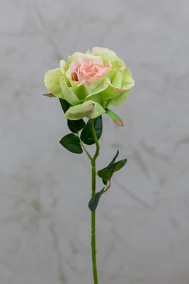 16" Bourbon Rose Pink/Green