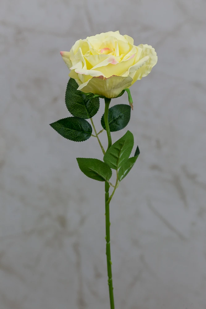 16" Bourbon Rose Yellow