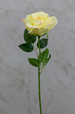 16" Bourbon Rose Yellow