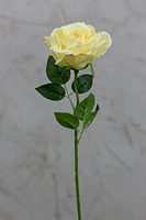 16" Bourbon Rose Yellow