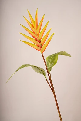 Tropical Flower Color J7 Red/Green