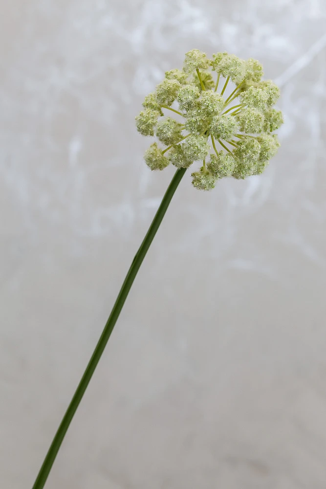 30" Flower Stem