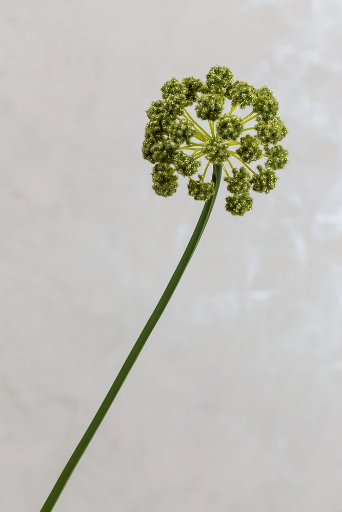30" Flower Stem Green - Coco's Plantation