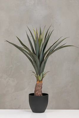 30" Pineapple Plant in Pot Too - Coco's Plantation