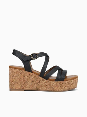 Aurora Black