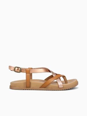 Camden Honey Bee Multi
