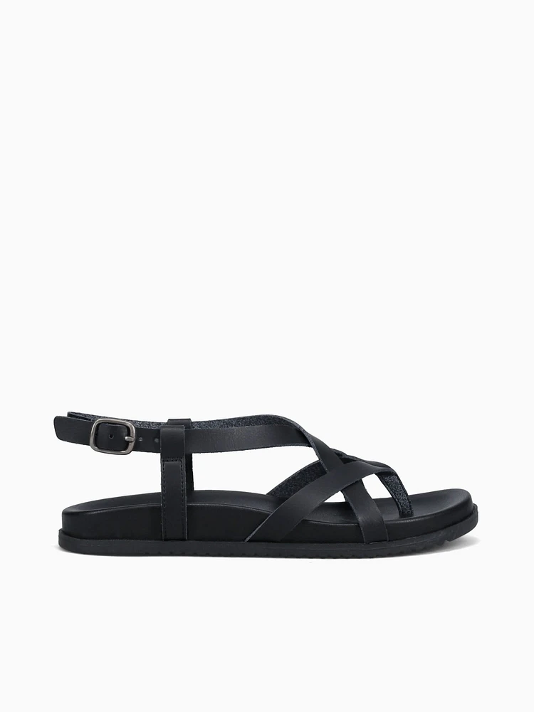 Camden Black