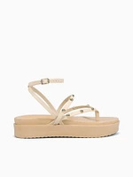 Terra Beige Smooth