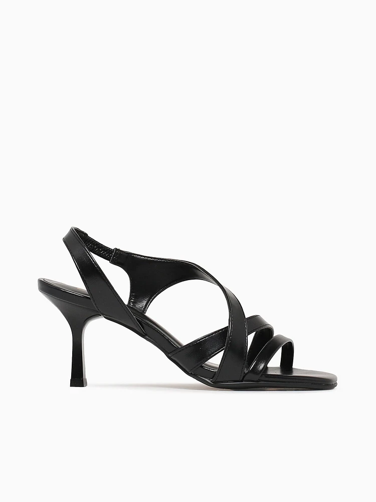 Baccia Preto Napa