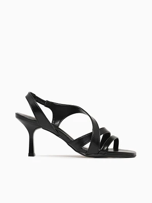 Baccia Preto Napa