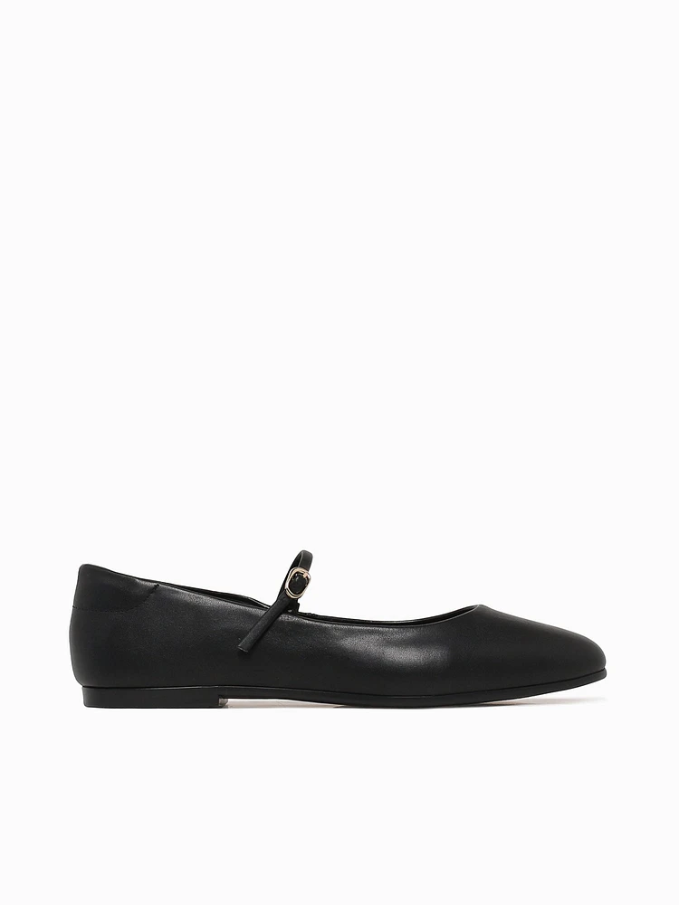 Circe Preto Mestico