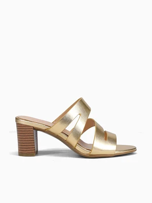 Beaming Dark Gold