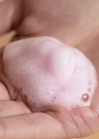 Foaming hand soap - GRAPE