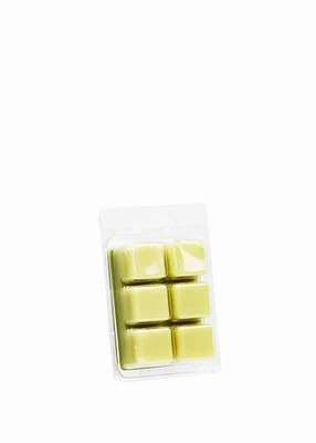 Wax cubes - CORIANDER AND LIME