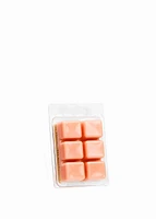 Wax cubes - PEACH AND CREAM