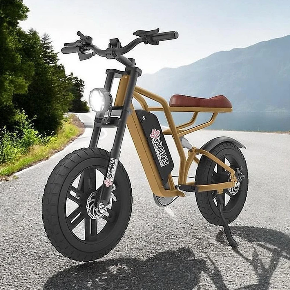 XTREME E-Bike