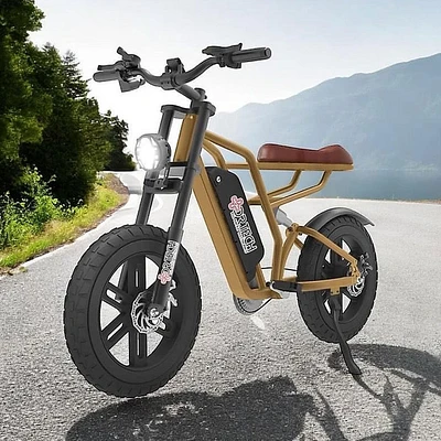 XTREME E-Bike
