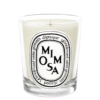 Mimosa Candle 190G