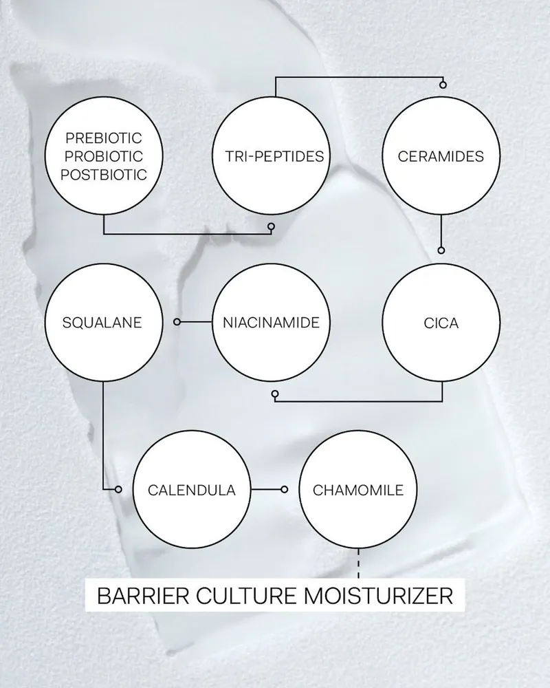 Barrier Culture Moisturizer