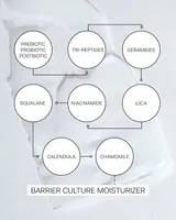 Barrier Culture Moisturizer