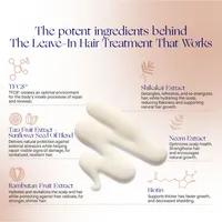 The Leave In Hair Treatment