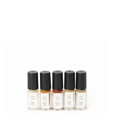 Mini Polish Set