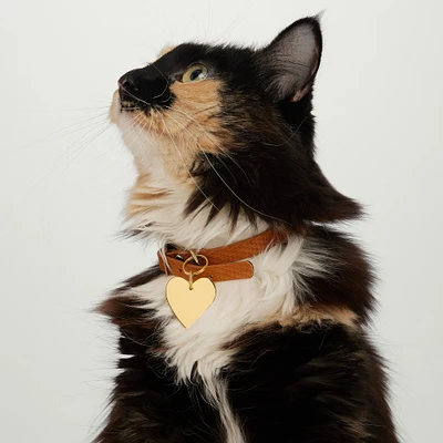 Heart Pet Tag
