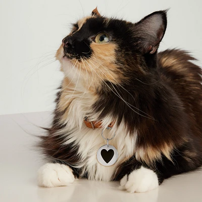 Round Heart Pet Tag