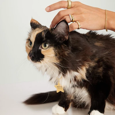 Star Pet Tag
