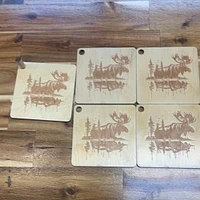 Moose Coaster Set