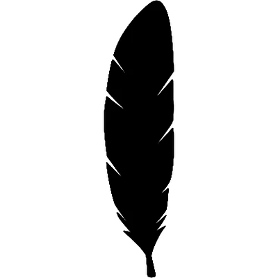 Eagle Feather