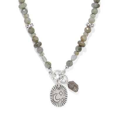 Token Charm Labradorite Necklace