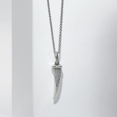 Horn Amulet Necklace Gift Set