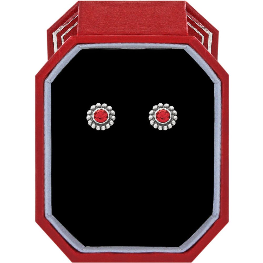 Twinkle Garnet Mini Post Earrings Gift Box