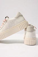 Creeper Sneaker