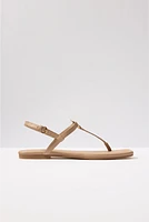 Lorene T Strap