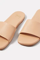HoneyBird Slide