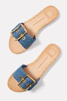Dasa Slide